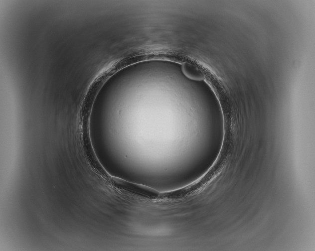 X0000116281309200912071142