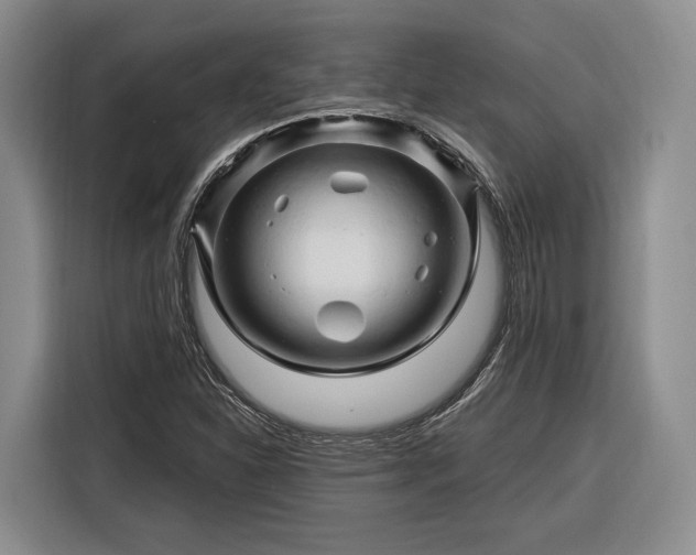 X0000116281310200912071142