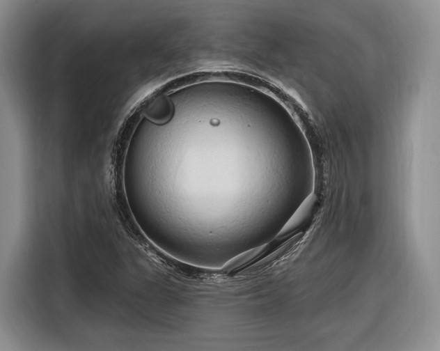 X0000116281311200912071142