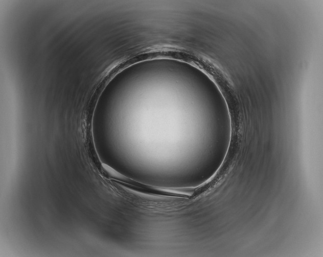 X0000116281313200912071142