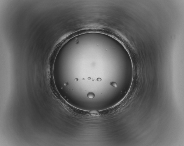 X0000116281315200912071142