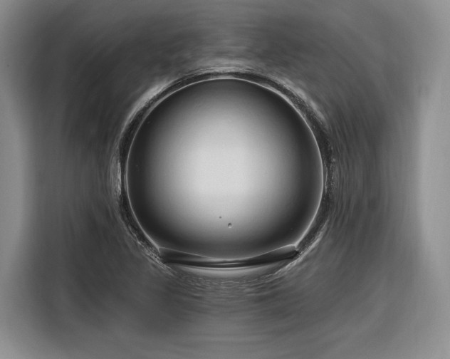 X0000116281317200912071142