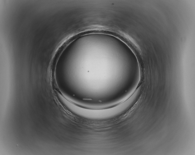 X0000116281318200912071142
