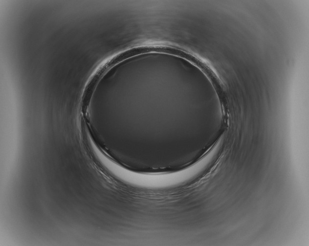 X0000116281319200912071142
