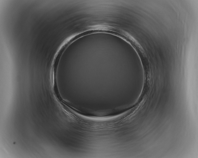 X0000116281323200912071142