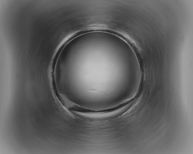 X0000116281325200912071142