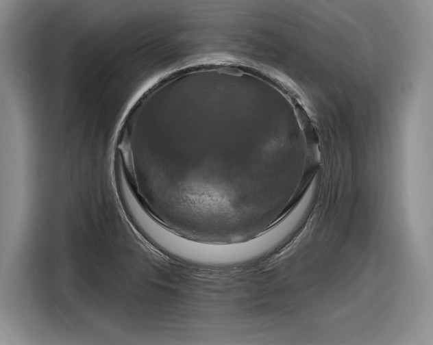 X0000116281326200912071142