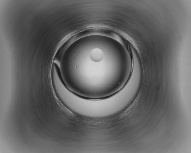 X0000116281330200912071142
