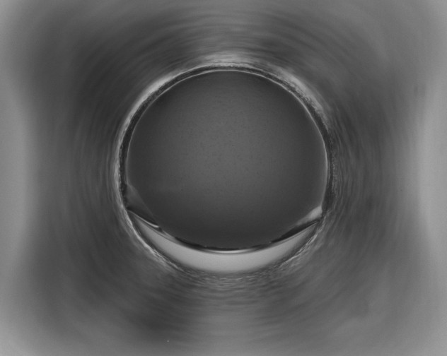 X0000116281331200912071142