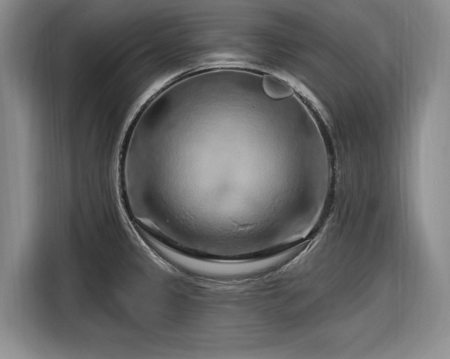 X0000116281333200912071142