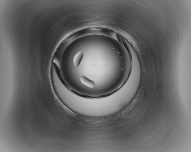 X0000116281334200912071142