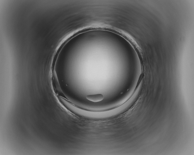 X0000116281335200912071142