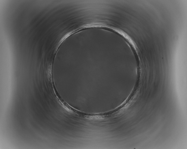 X0000116281337200912071142