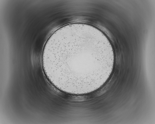 X0000116281338200912071142
