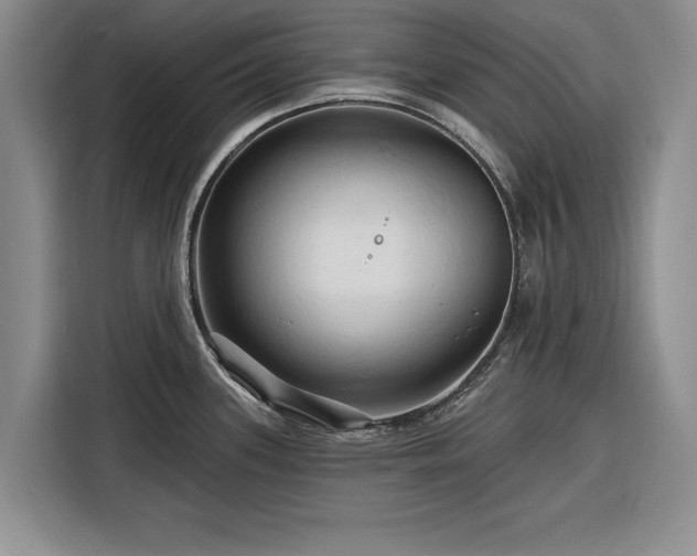 X0000116281339200912071142