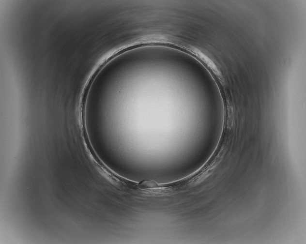 X0000116281342200912071142