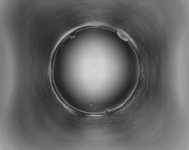 X0000116281343200912071142