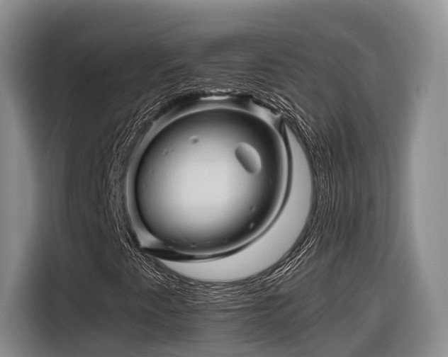 X0000116281345200912071142