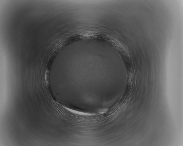 X0000116281346200912071142