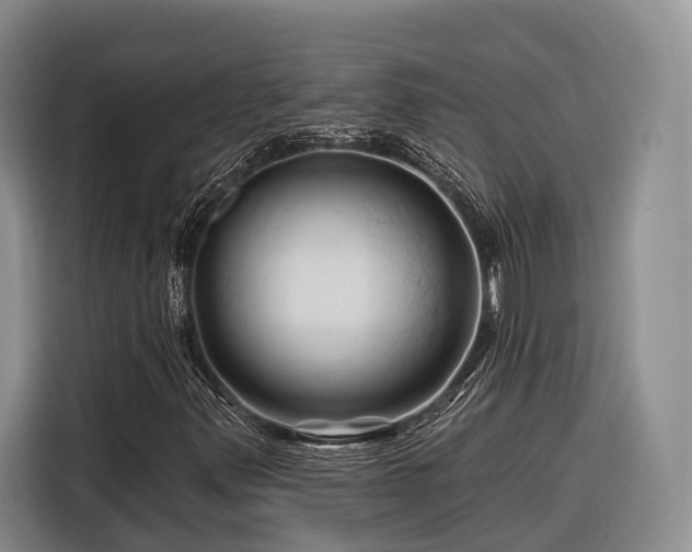 X0000116281347200912071142