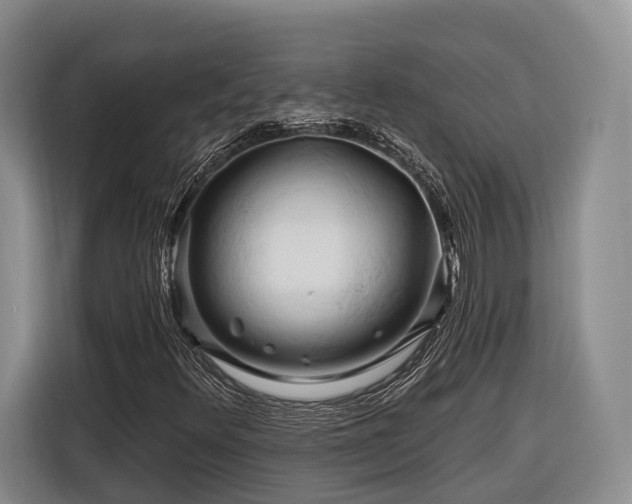 X0000116281348200912071142