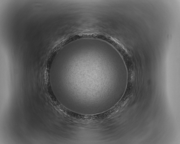 X0000116281350200912071142
