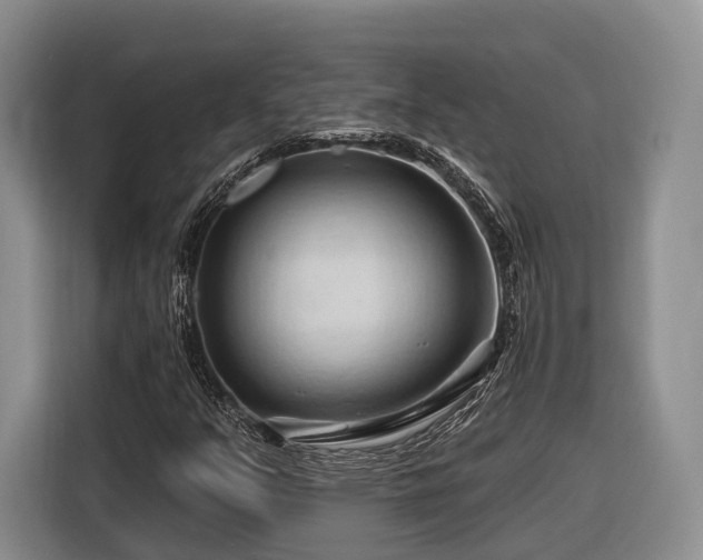 X0000116281351200912071142