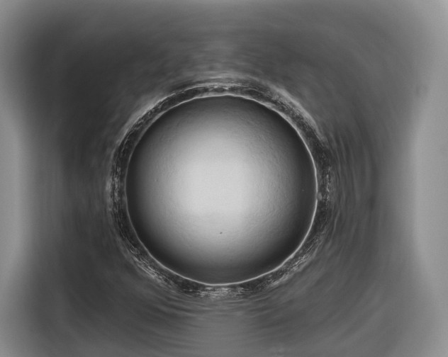 X0000116281352200912071142