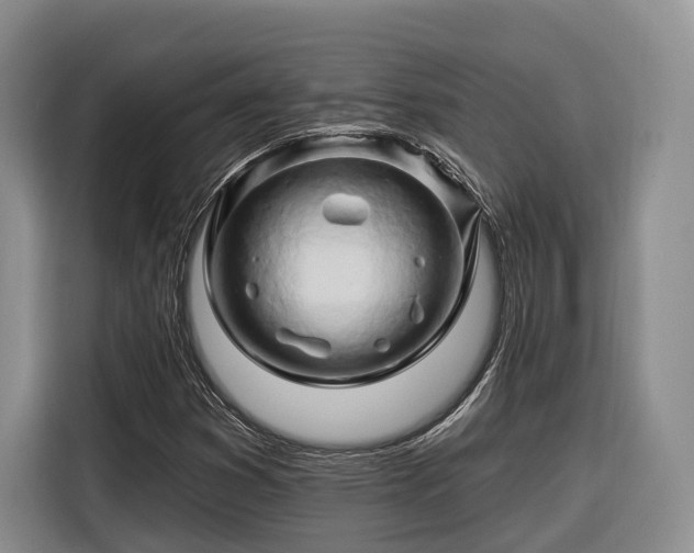 X0000116281353200912071142