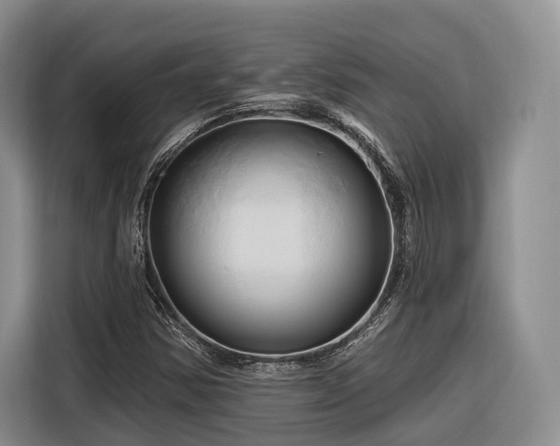 X0000116281354200912071142