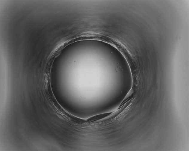 X0000116281355200912071142