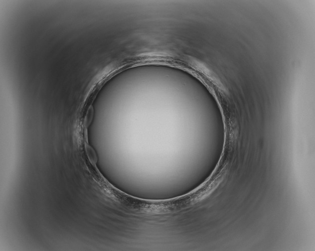 X0000116281357200912071142