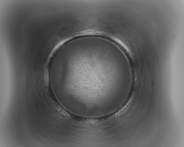 X0000116281358200912071142