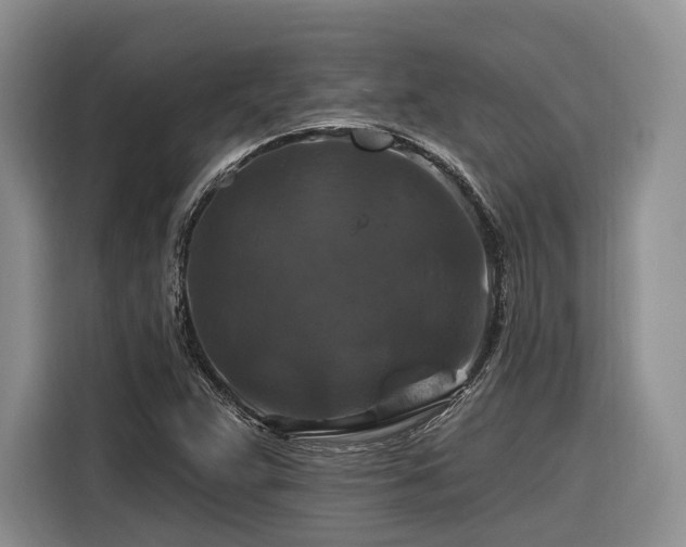 X0000116281359200912071142