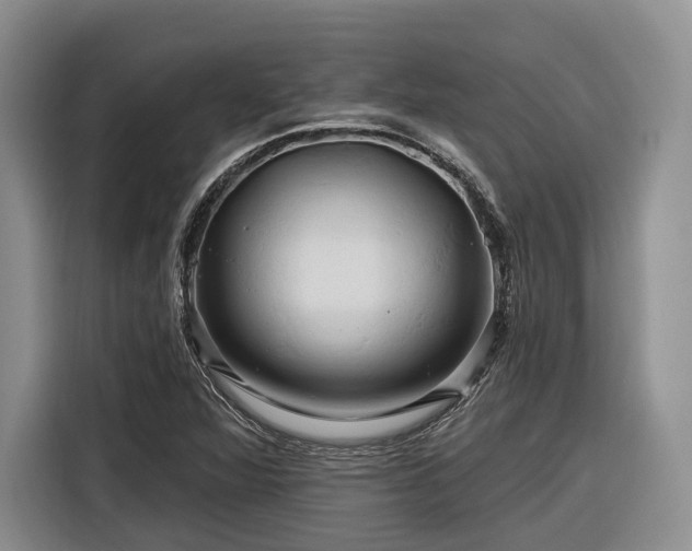 X0000116281360200912071142