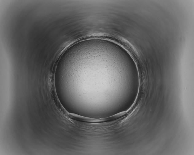 X0000116281361200912071142