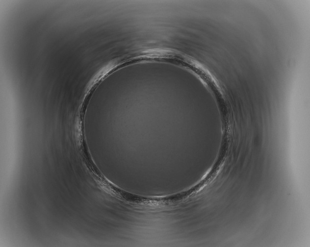 X0000116281362200912071142
