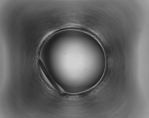 X0000116281363200912071142