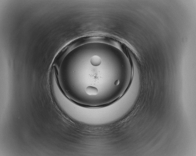 X0000116281364200912071142