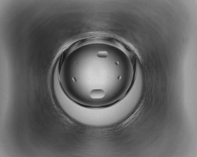 X0000116281365200912071142