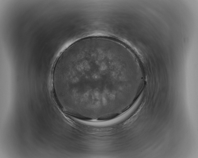 X0000116281367200912071142
