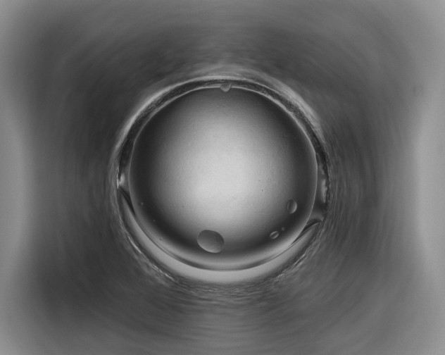X0000116281368200912071142