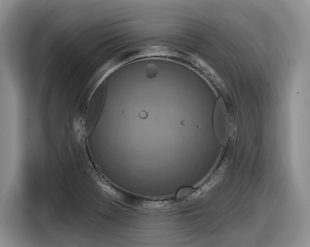 X0000116281369200912071142