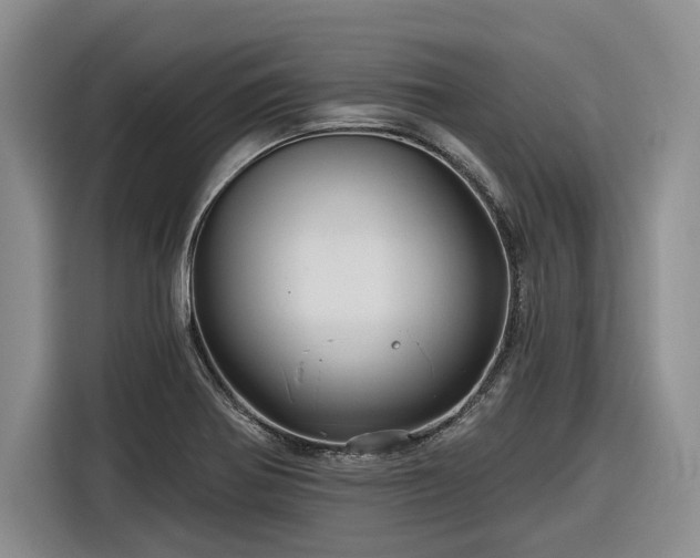X0000116281370200912071142