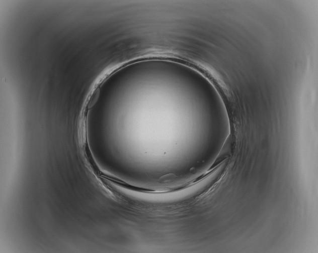 X0000116281371200912071141