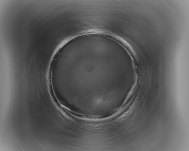 X0000116281373200912071141