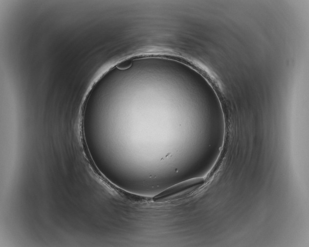 X0000116281374200912071141