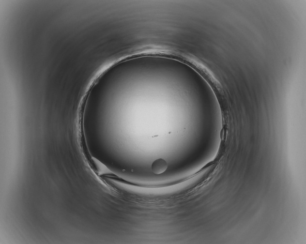 X0000116281375200912071141