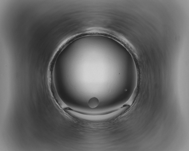 X0000116281376200912071141