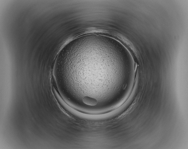 X0000116281377200912071141